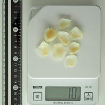 ゆりね茹で8片 10g