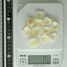 ゆりね茹で11片 15g