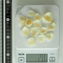 ゆりね茹で14片 20g