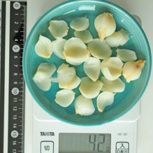 ゆりね茹で小皿1杯 42g