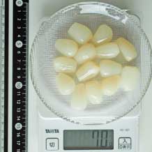 らっきょう甘酢漬14個 70g