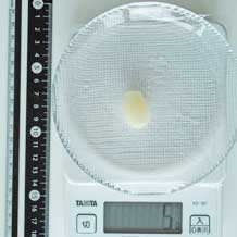 らっきょう甘酢漬1個 5g