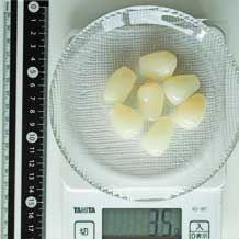 らっきょう甘酢漬7個 35g