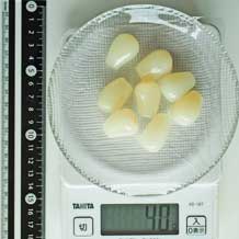 らっきょう甘酢漬8個 40g