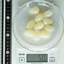 らっきょう甘酢漬10個 50g