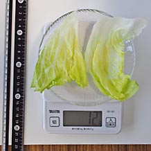 小皿にカット2枚