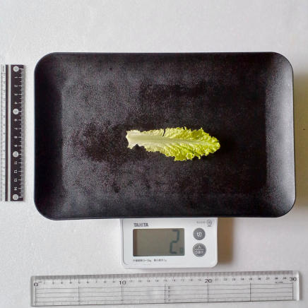 1枚2gのリーフレタス