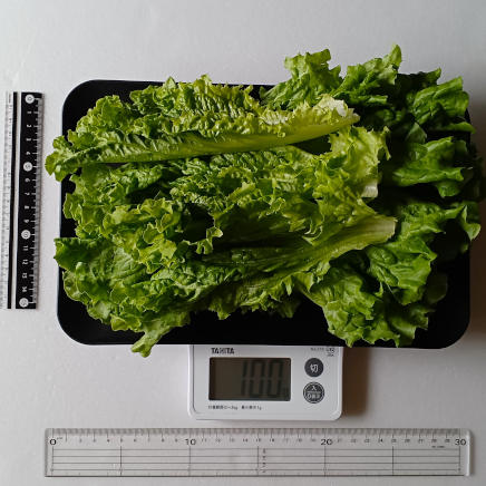 100gのリーフレタス