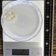 れんこん(スライス) 2g