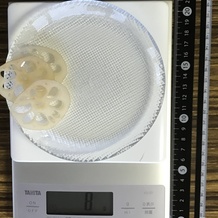 れんこん(スライス) 8g