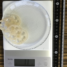 れんこん(スライス) 11g