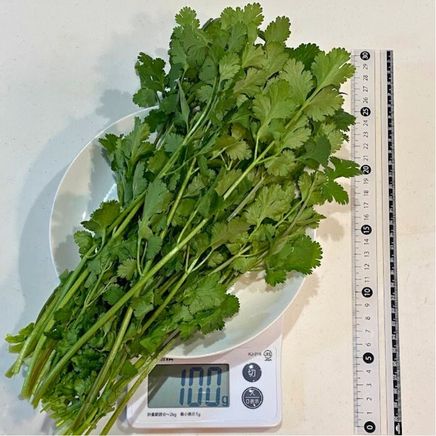 カット前のパクチー 100g