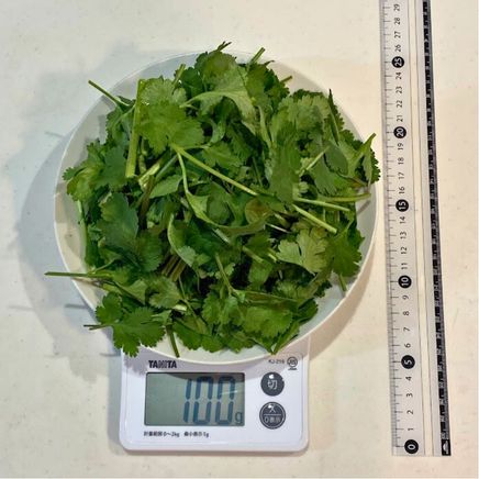 100gのパクチー