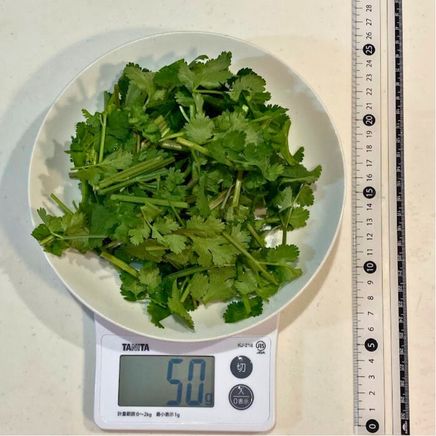 50gのパクチー