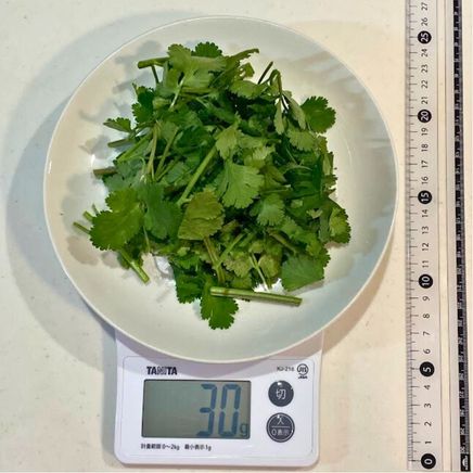 30gのパクチー