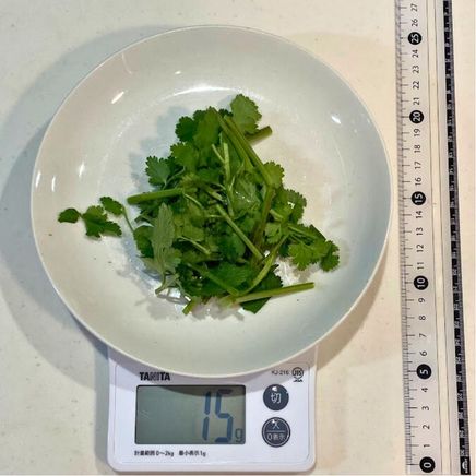 15gのパクチー