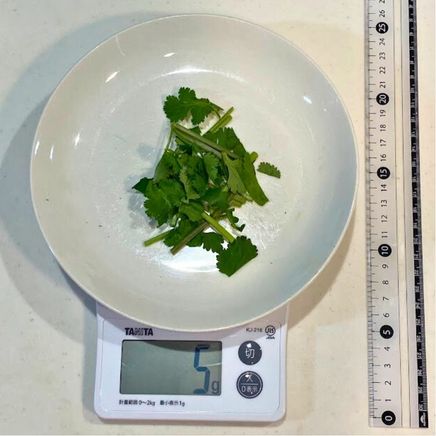5gのパクチー