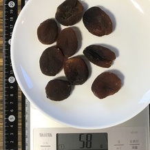乾燥あんず 58g