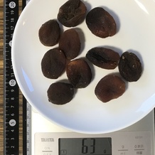乾燥あんず 63g