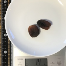 乾燥あんず 14g