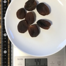 乾燥あんず 44g