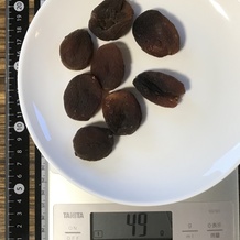 乾燥あんず 49g