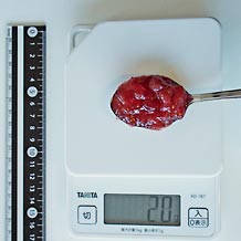 いちごジャム 20g