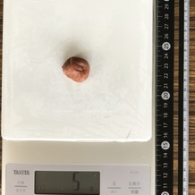 小さめの梅干し 5g