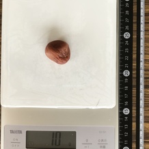 大きめの梅干し 10g
