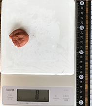 梅干し (種なし) 8g