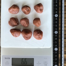 梅干し9個 66g