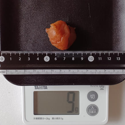 9gの調味梅干