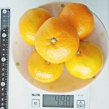 みかんMサイズ5個 498g
