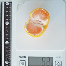みかんMサイズ半分 52g