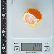 みかんMサイズ1/4 27g