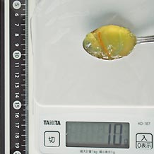 低糖度マーマレード 10g