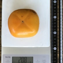 柿1個 208g