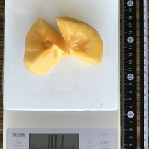 柿 101g