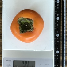 柿1個 197g