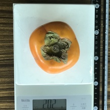 柿 202g