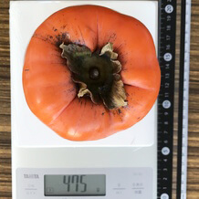 富士柿1個 475g