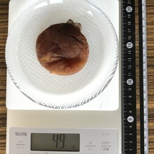 干し柿 49g