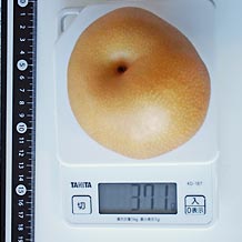 和梨(大)1個