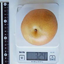 和梨(中)1個