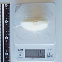 和梨1/12サイズ個