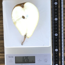 洋梨 126g