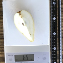 洋梨 65g