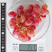 クリムゾン種無し皮つき1房(大)