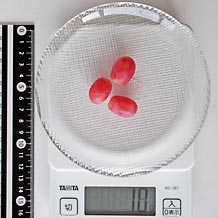 クリムゾン種無し皮つき10g