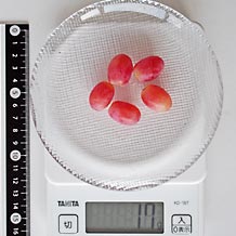 クリムゾン種無し皮つき17g